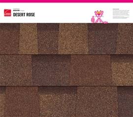 TruDefinition Duration - DESERT ROSE