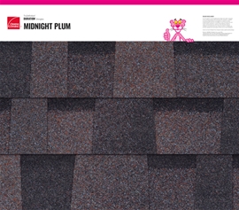 TruDefinition Duration - MIDNIGHT PLUM