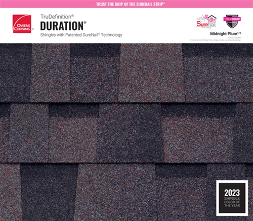 TruDefinition Duration - MIDNIGHT PLUM